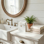Bathroom vanity with sink, mirror, towels, tissue holder and plant