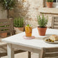 Outdoor setting with a table featuring a glass of iced tea, lemon slices, and a plate of bread and olives, with potted plants in the background.
