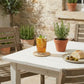 Outdoor setting with a table featuring a glass of iced tea, lemon slices, and a plate of bread and olives, with potted plants in the background.