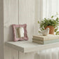 Small pink distressed mirror leaning on a whitewashed shelf with books, a bird figurine, and a potted plant.