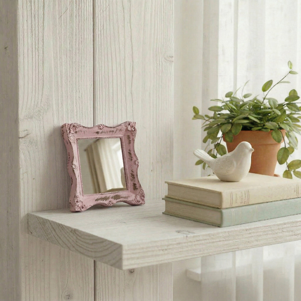 Small pink distressed mirror leaning on a whitewashed shelf with books, a bird figurine, and a potted plant.