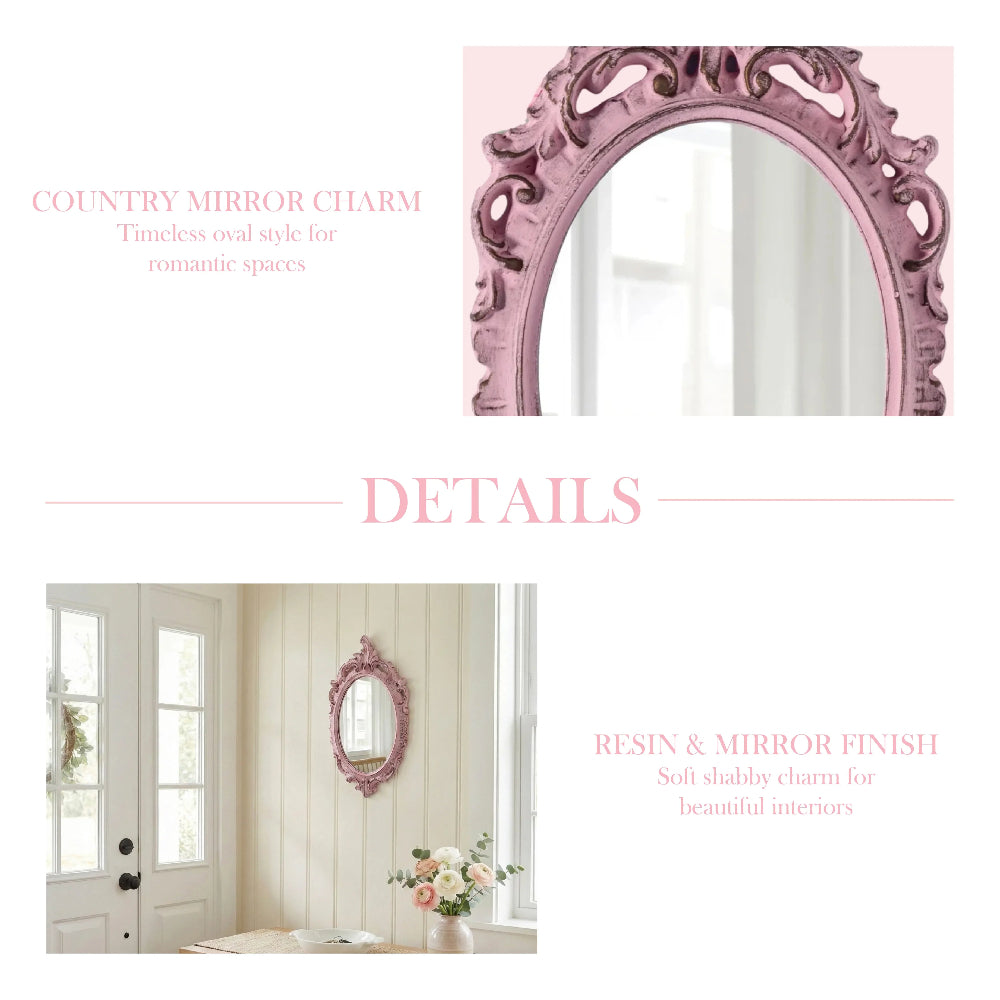 Graphic with "DETAILS" text featuring a close-up of a pink ornate mirror and a lifestyle shot of it on a shiplap wall.