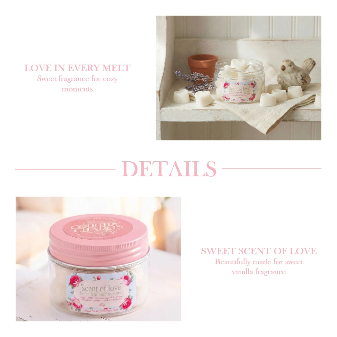 Product details graphic showing lifestyle and close-up views of Scent of Love vanilla home fragrance soy wax melts.